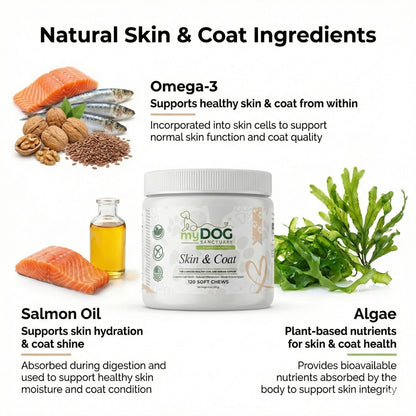 Radiant Skin and Coat Omega Chews for Dogs and Cats Health