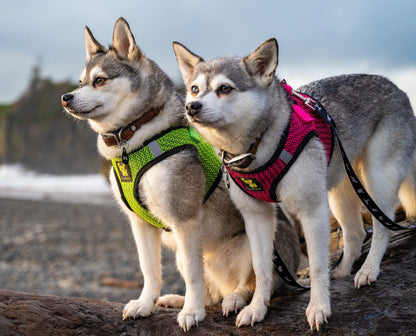 EcoBark Fuchsia Step In Mesh Dog Harness Reflective Comfort