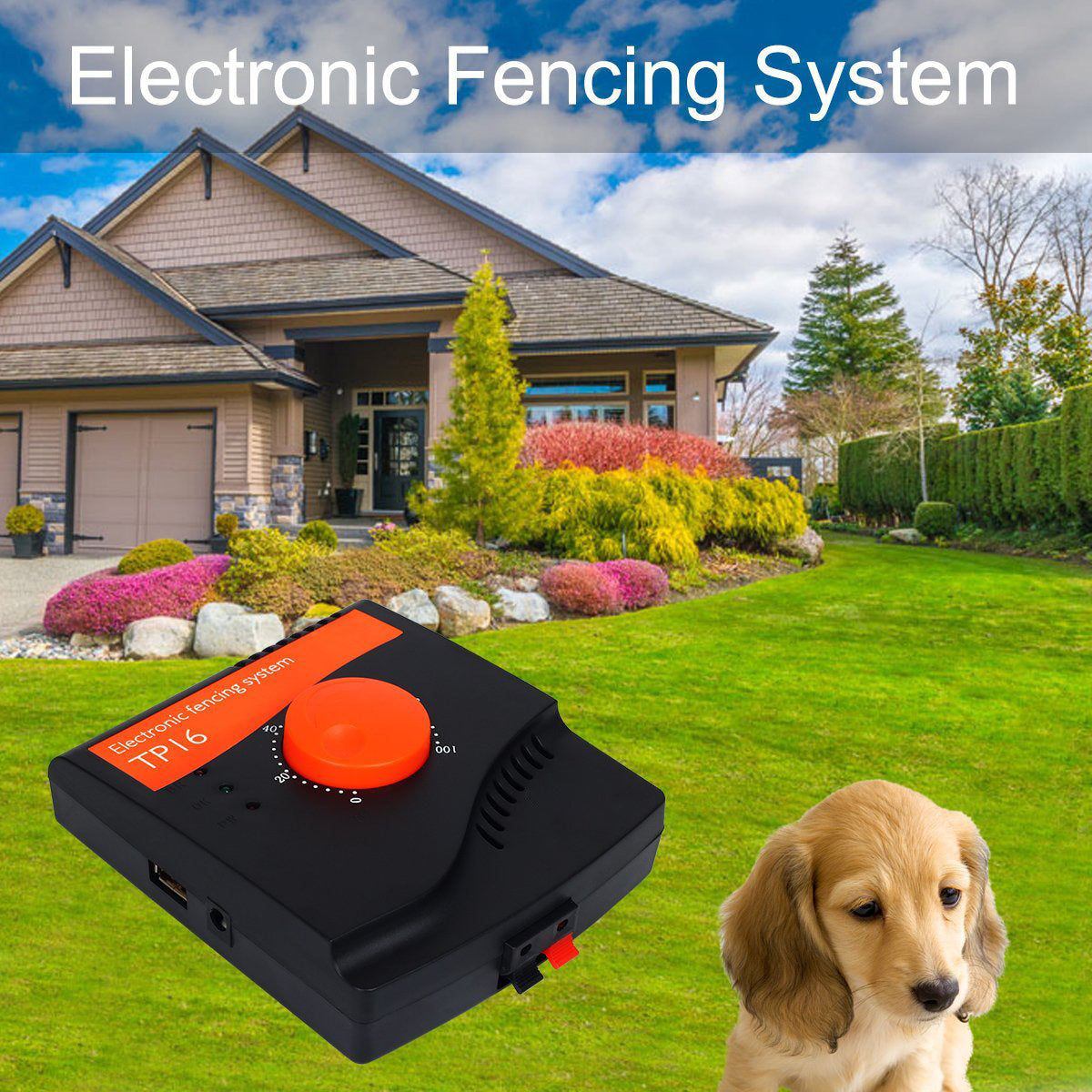Rechargeable electronic fence for dogs with control unit in a yard outside a home