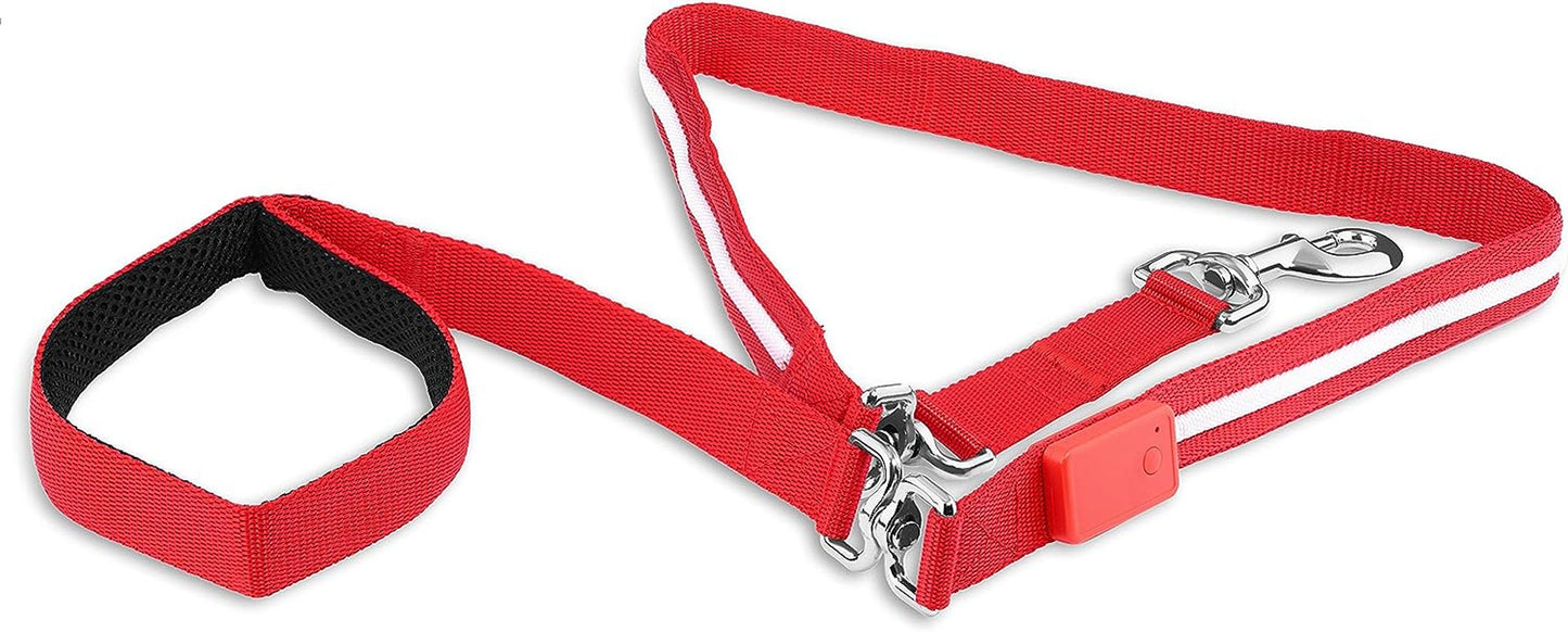 Rechargeable illuminated pet leash in red with reflective strips for night walks and increased visibility