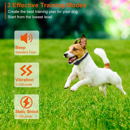 Purrfect Pet Kingdom Rechargeable Waterproof Dog Collar Purrfect Pet Kingdom