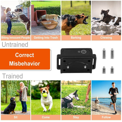Purrfect Pet Kingdom Rechargeable Waterproof Dog Collar Purrfect Pet Kingdom