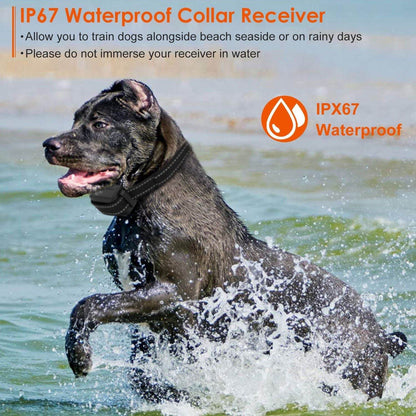 Purrfect Pet Kingdom Rechargeable Waterproof Dog Collar Purrfect Pet Kingdom