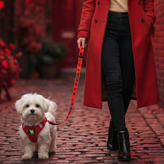 Dog Harness Red Step In Harness for Small Breeds for Essenti - detail product image for dog harness