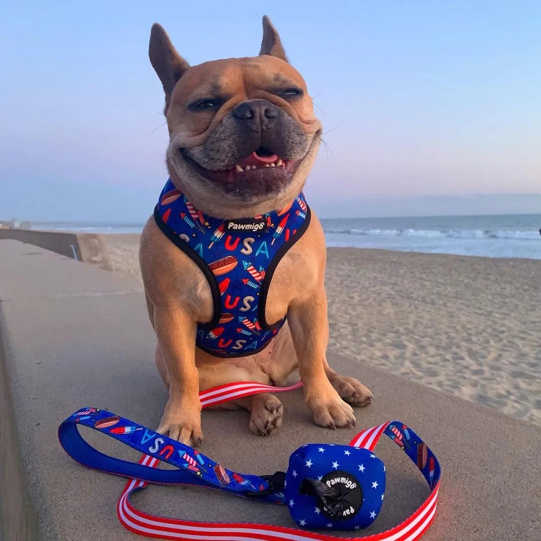 Red and white bark reversible harness by Pawmigo, available in XS, S, and M sizes, perfect for stylish pet adventures.
