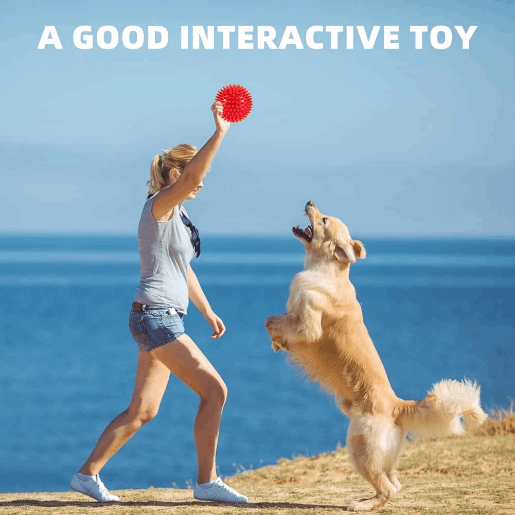 Dog Treats 2 5 Squeaky Interactive Dog Balls for Puppy Teeth