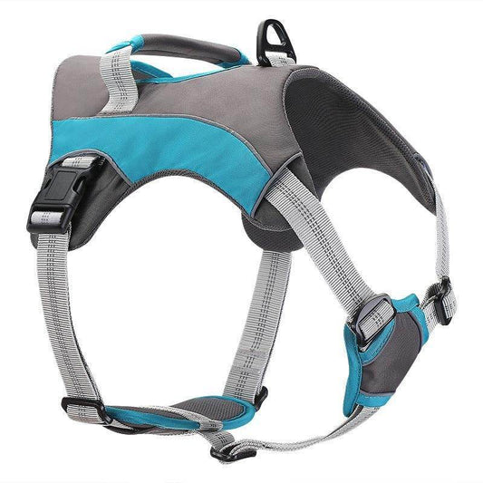 Purrfect Pet Kingdom Reflective Dog Leash for Safety Xl Blue Purrfect Pet Kingdom