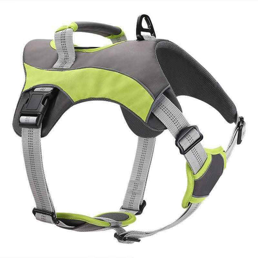 Purrfect Pet Kingdom Reflective Dog Leash for Safety M Green Purrfect Pet Kingdom