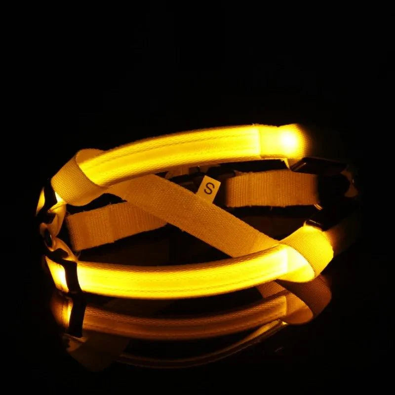 MANDOTOS reflective pet harness for night walks with LED glowing strips for visibility