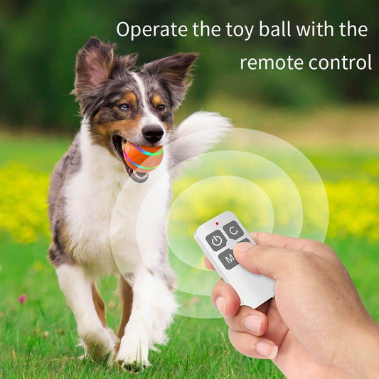 Purrfect Pet Kingdom Durable Chew Ball for Dogs with Remote Orange Purrfect Pet Kingdom