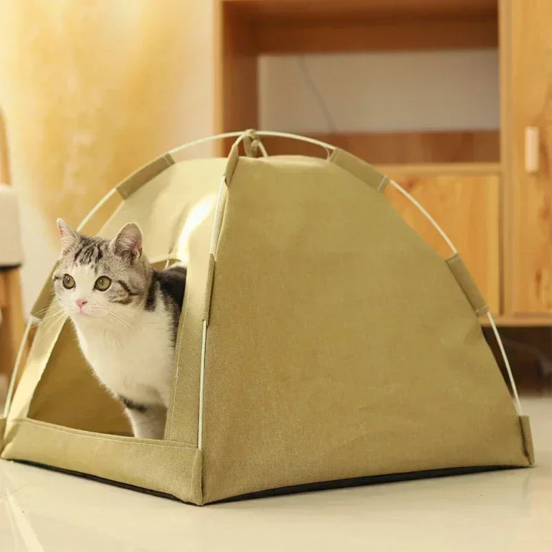 Tail Chasers removable pet tent bed in beige with a playful cat peeking out from inside