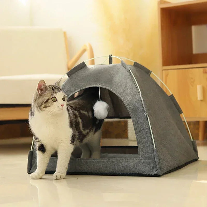 Tail Chasers removable pet tent bed for cats with soft fabric and playful design