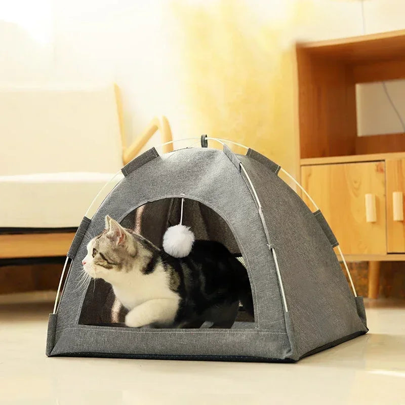 Tail Chasers Removable pet tent bed for cats, featuring a cozy design and playful pom-pom for entertainment
