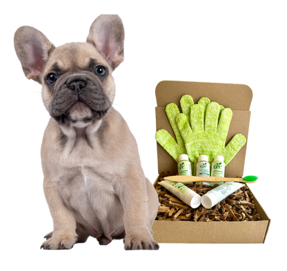 ReNewedPet - 4-FURRY DOGS *REGULAR GROOMING KIT - Shampoo & Conditioner