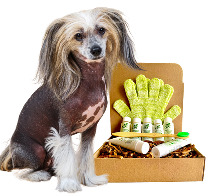 ReNewedPet - 4-HAIRLESS PETS *DOG SENSITIVE KIT - 4 Nudie Pets