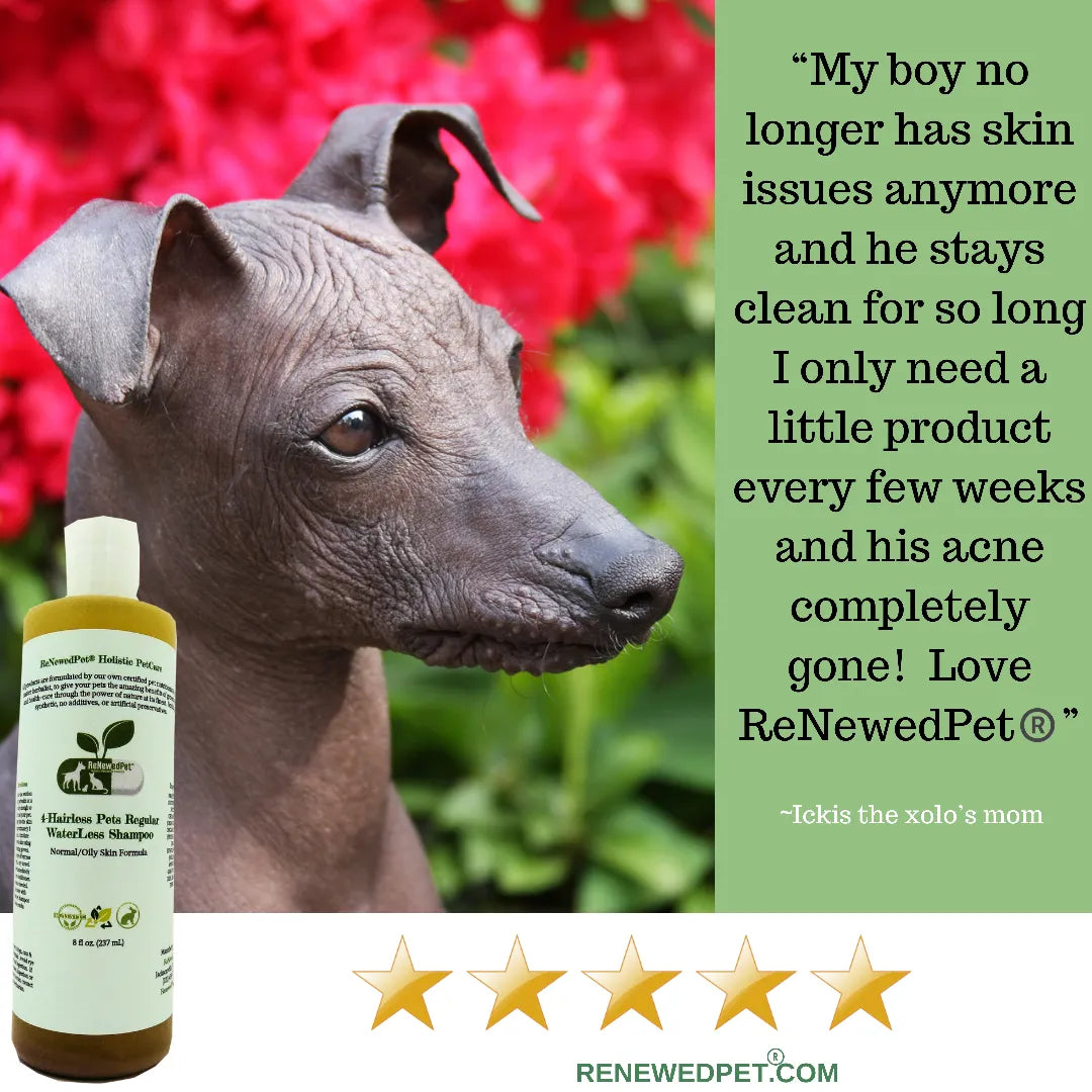 ReNewedPet - 4-HAIRLESS PETS REGULAR CONDITIONER - 4 Nudie Pets