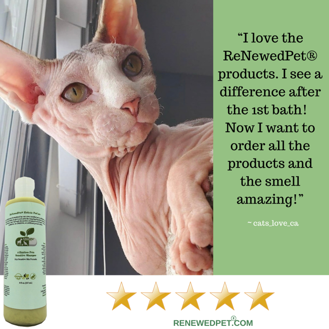 ReNewedPet moisturizing conditioner for hairless dogs with a satisfied pet owner's quote and five-star rating