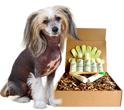 ReNewedPet Sensitive Grooming Kit for Hairless Pet Breeds, featuring 6pc shampoo options in sample, half, and full sizes.