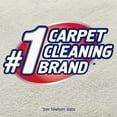 Purrfect Pet Kingdom Resolve Pet Stain and Odor Cleaner Purrfect Pet Kingdom