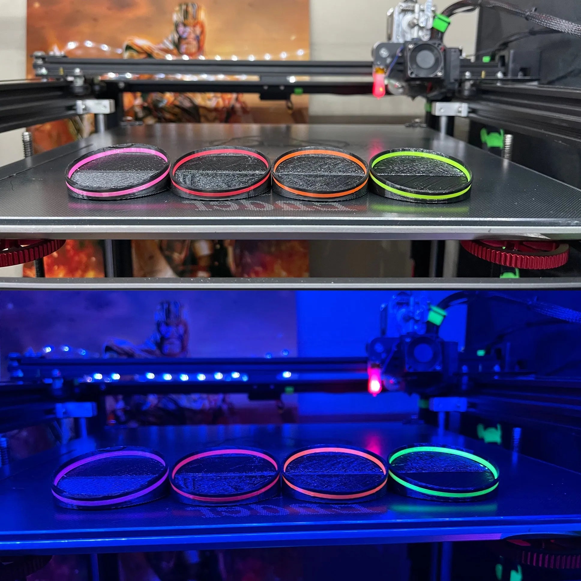 Rhino's Reef - 2” DiscPlays - Aquarium Supply