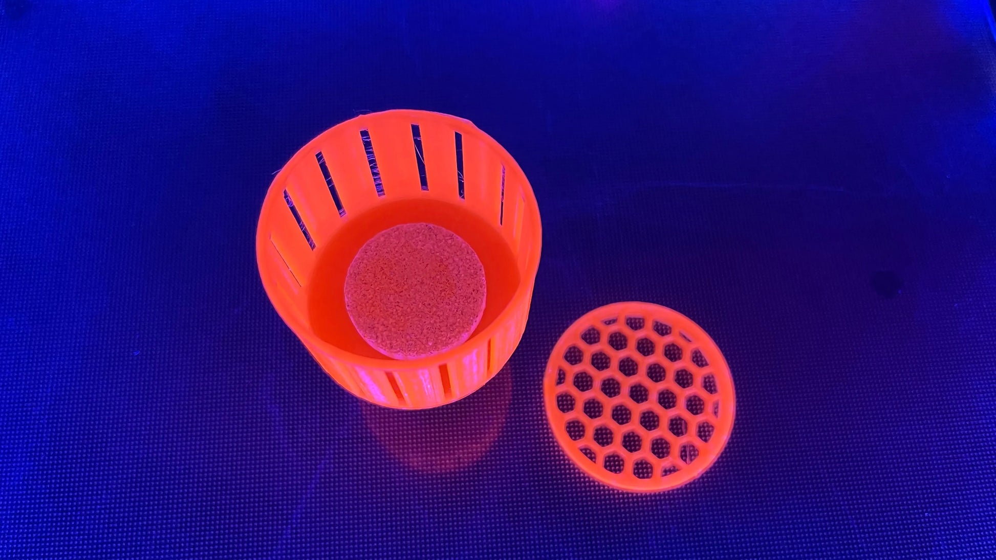 Rhino's Reef - 2” Mushroom Detention Center - Aquarium Supply