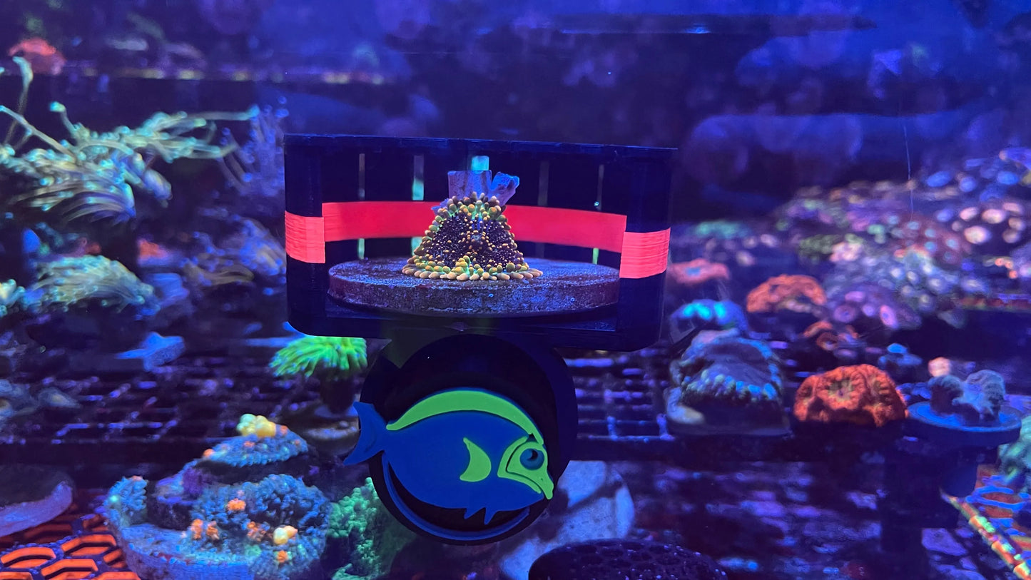 Rhino's Reef - ClearShroom — Magnetic Mushroom  Cage by Rhino’s Reef - Aquarium Supply