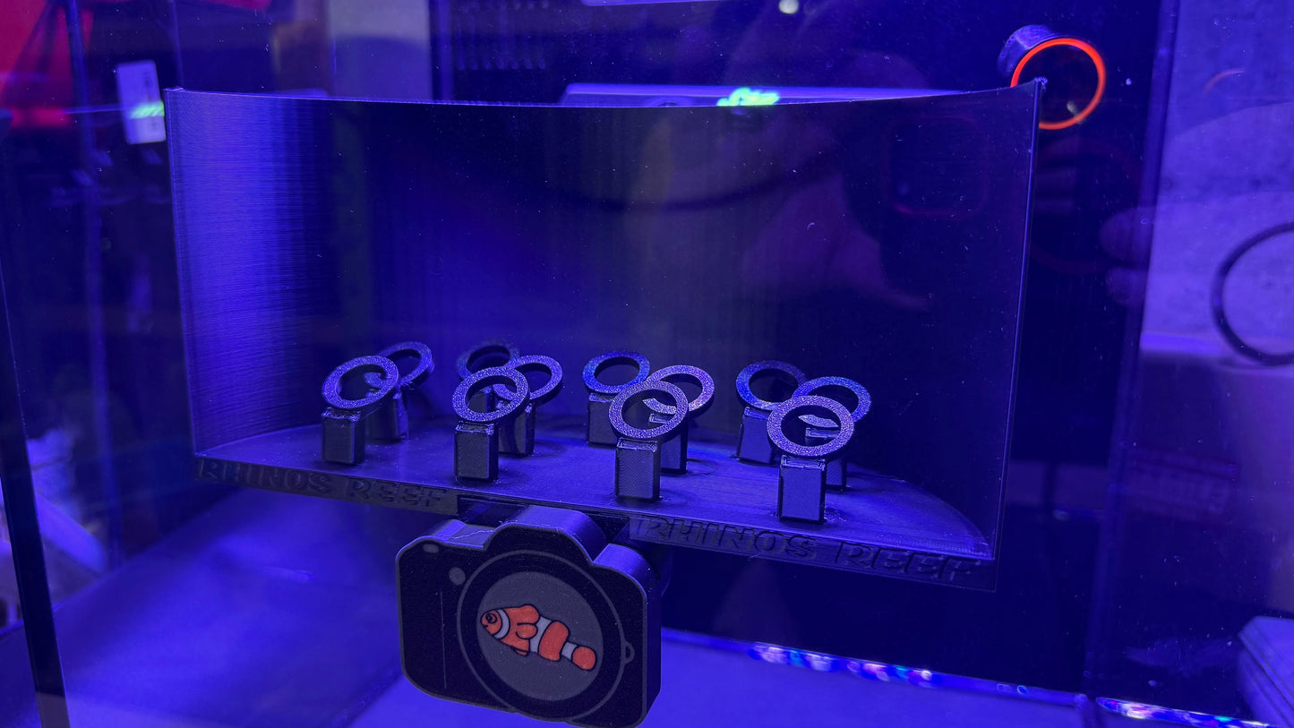 Rhino's Reef - PhotoBooth