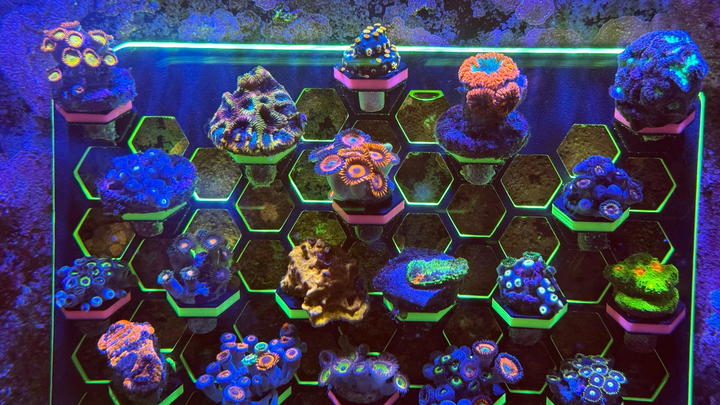 Rhino's Reef - Purrfect Pet Kingdom VFR XXL 9.6"x 8.5" Reef Frag Rack - Aquarium Supply