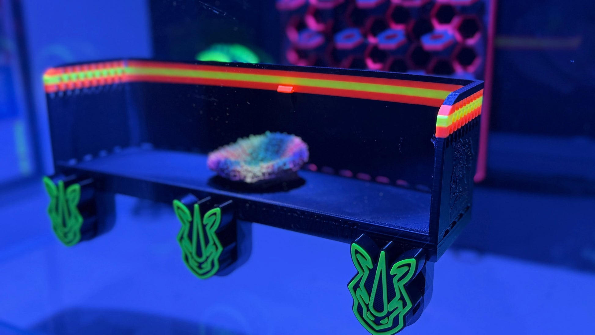 Rhino's Reef - XL ClearView 12x3x3” - Aquarium Supply