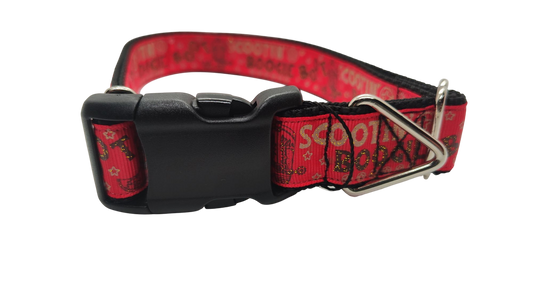 Boot Scootin Boogie Dog Collar 🤠