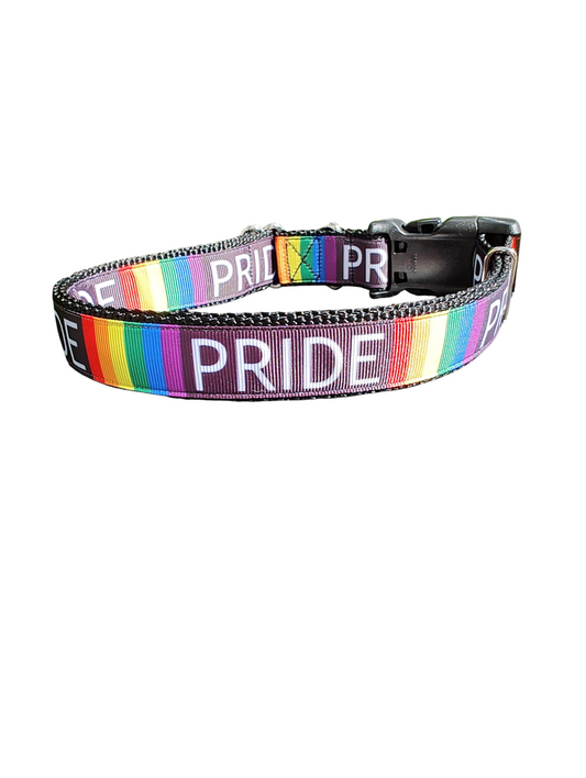 Pride Rainbow Dog Collar 🏳️‍🌈
