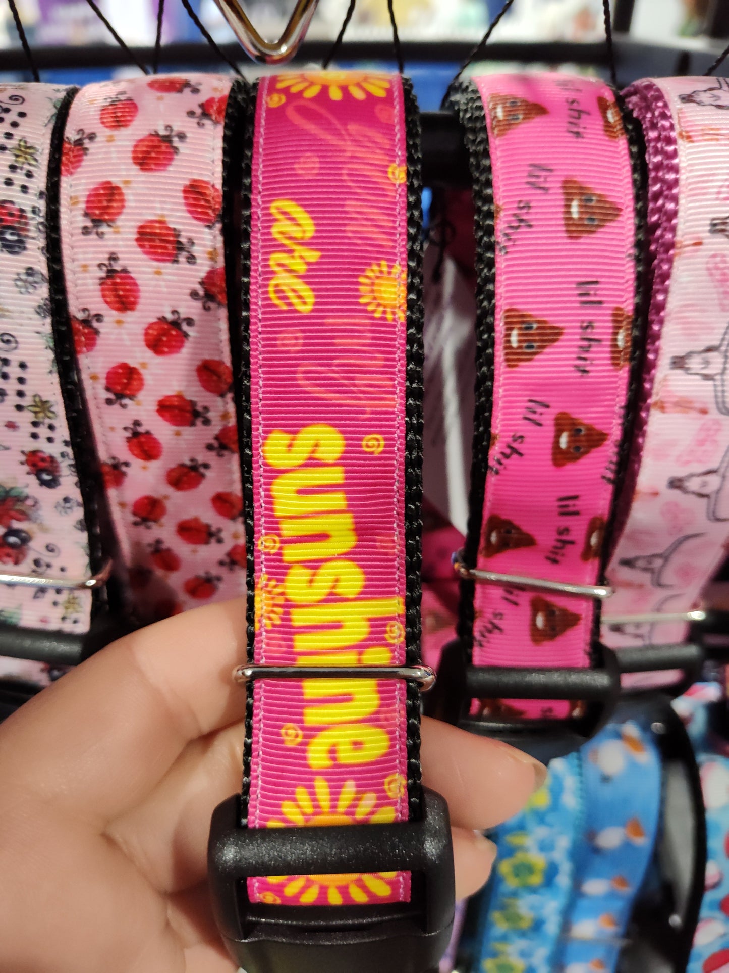 You Are My Sunshine Dog Collar ☀️