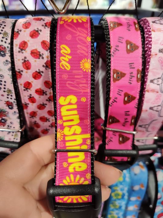 You Are My Sunshine Dog Collar ☀️