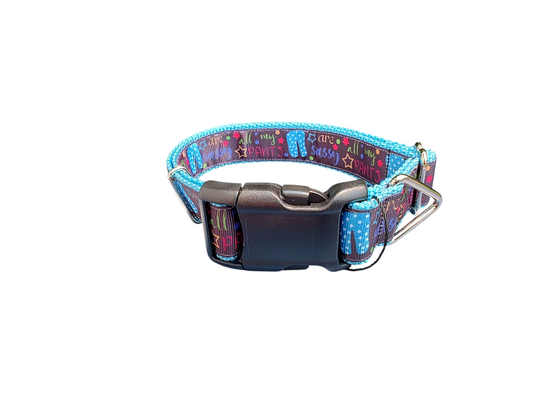 Sassy Pants Dog Collar 💅