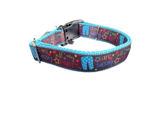 Sassy Pants Dog Collar 💅