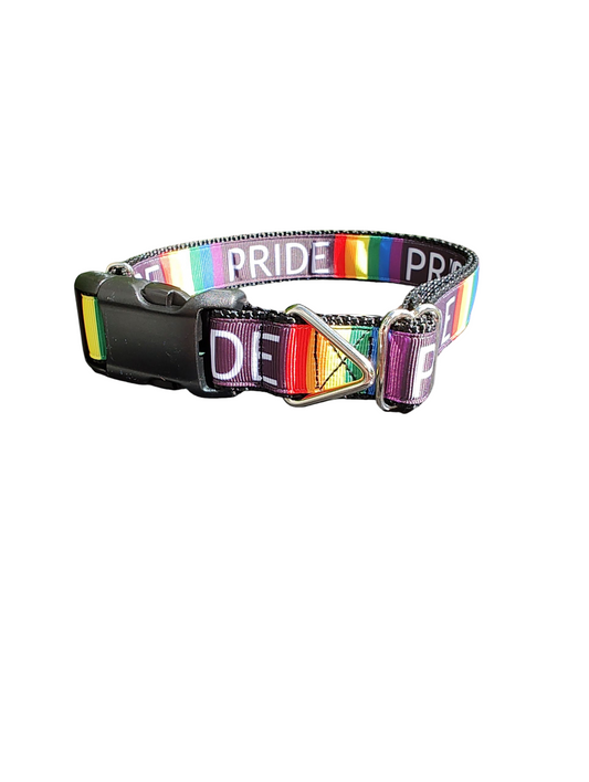 Pride Rainbow Dog Collar 🏳️‍🌈
