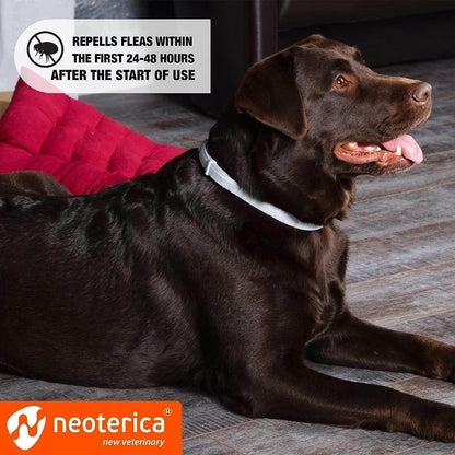 Purrfect Pet Kingdom Natural Flea and Tick Collar for Dogs Purrfect Pet Kingdom