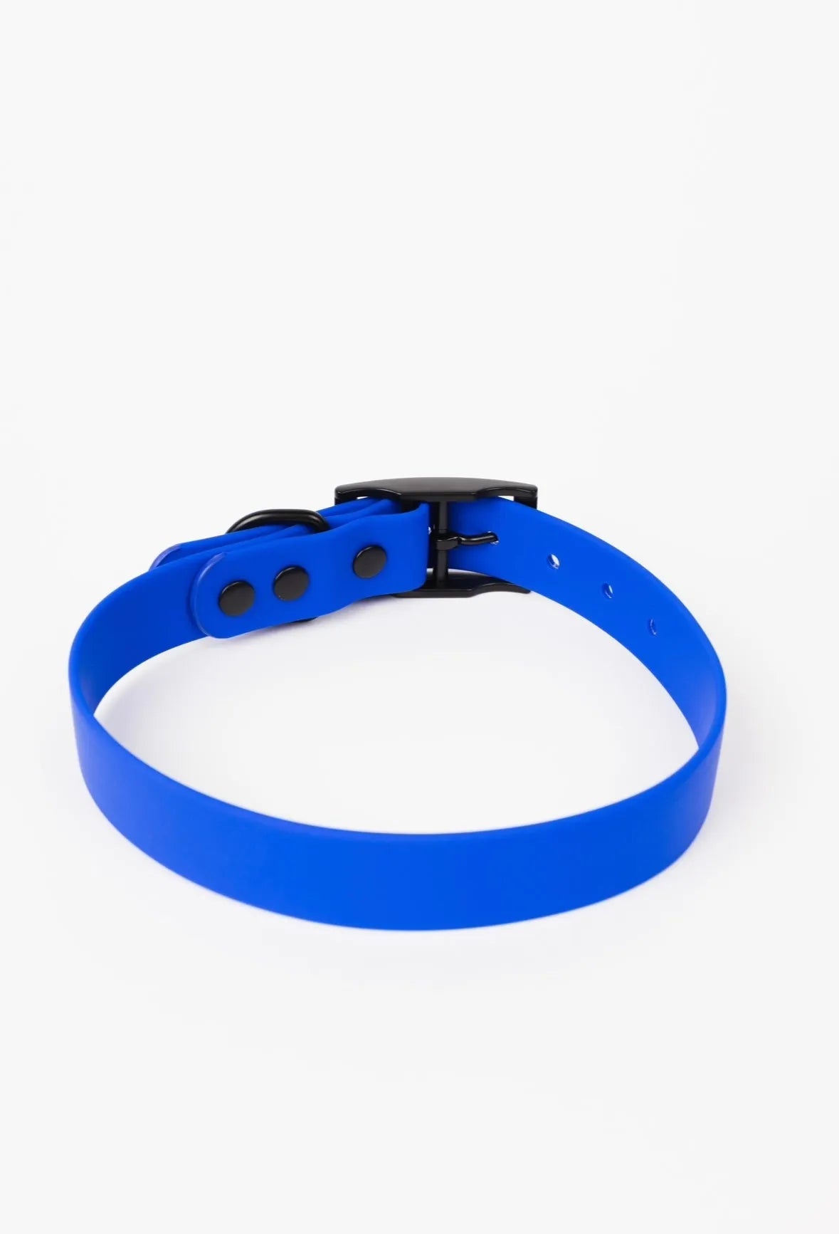 Royal Blue Collar by The Modern Dog Company Store, available in Small, Medium, and Large; perfect for stylish and durable ...