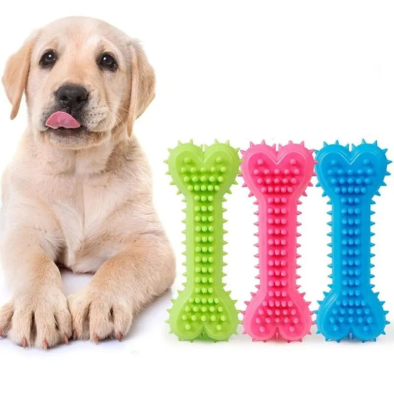 Colorful Rubber Bone Dog Chew Toy set in green, pink, and blue for playful pets