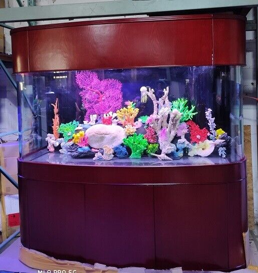 Display Model 380 Gallon Seamless Glass Bowfront Reef-Ready Aquarium Set in Rose Cherry