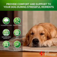 Hemp Calming Chews for Dogs Anxiety and Stress Dog Natural