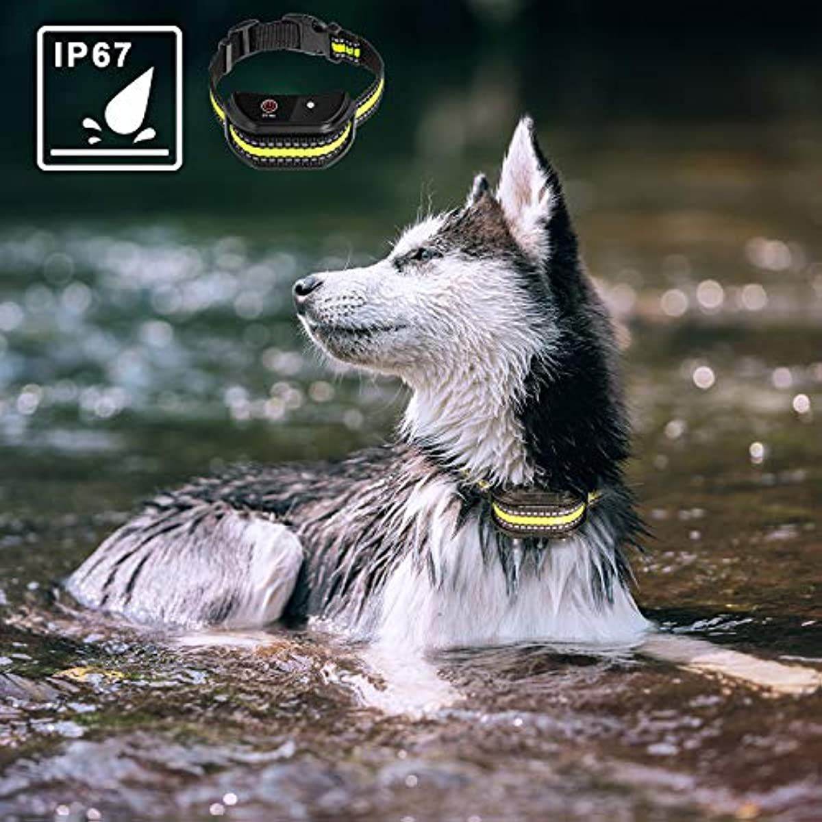 Purrfect Pet Kingdom Safe Shock Collar for Dogs - Purrfect Pet Kingdom