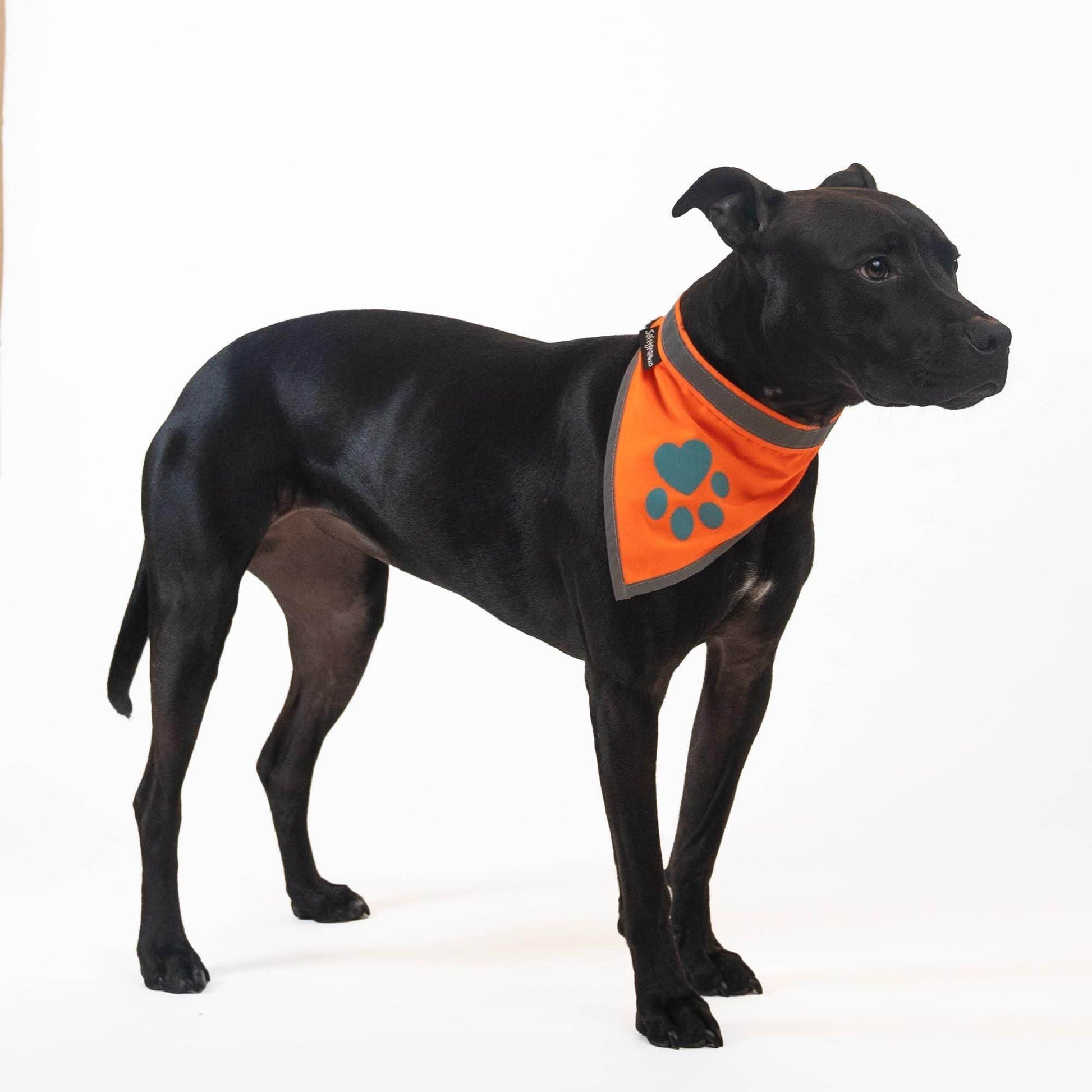 Purrfect Pet Kingdom Dog Bandana Reflective Orange Purrfect Pet Kingdom