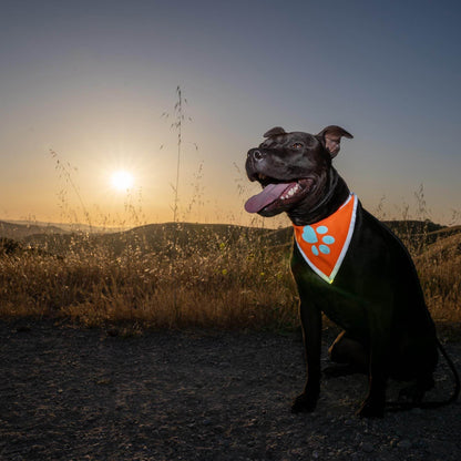 Purrfect Pet Kingdom Dog Bandana Reflective Orange Purrfect Pet Kingdom