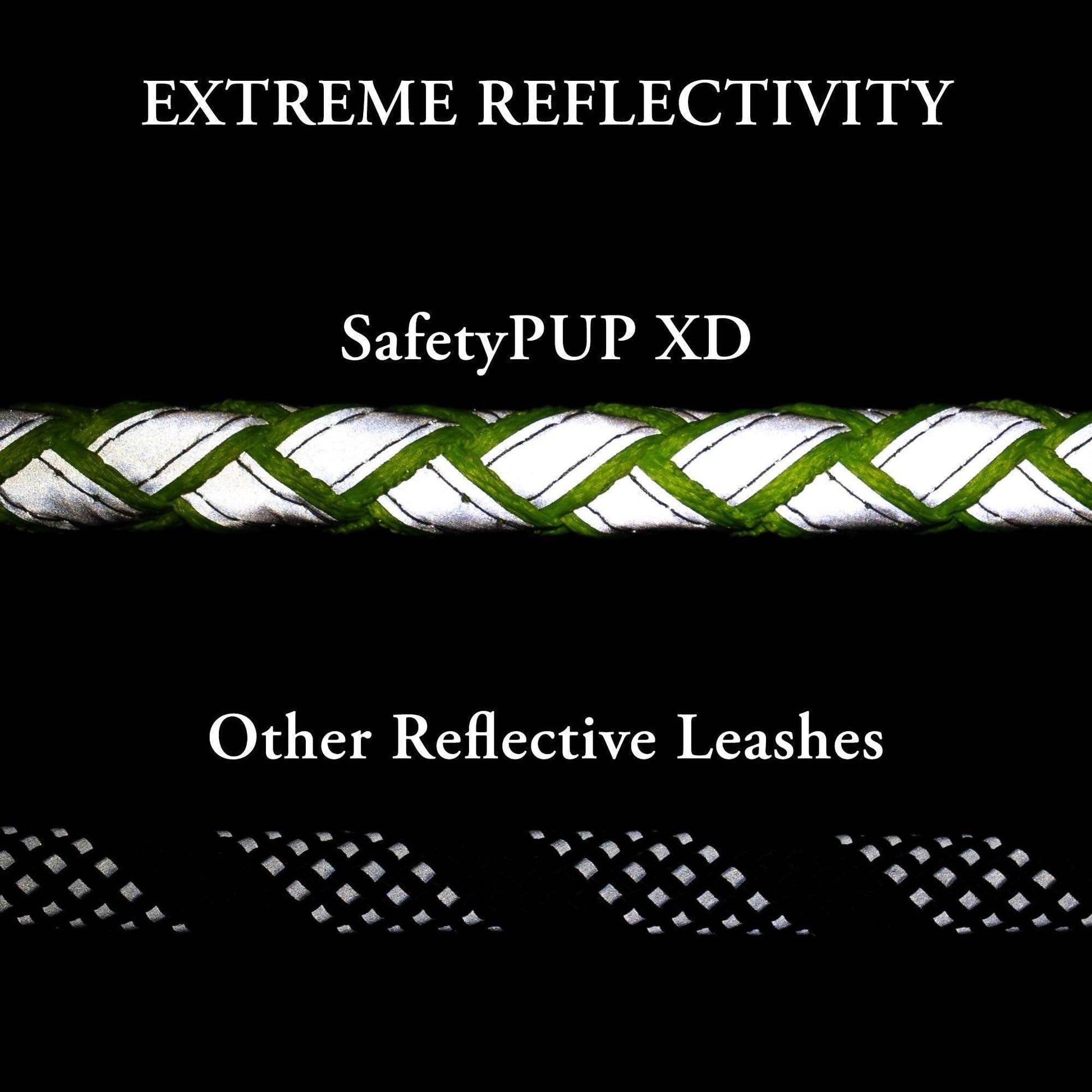 Purrfect Pet Kingdom Durable Dog Leash Reflective Safety Purrfect Pet Kingdom