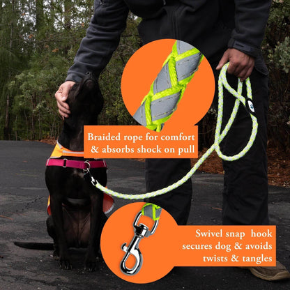 Purrfect Pet Kingdom Durable Dog Leash Reflective Safety Purrfect Pet Kingdom