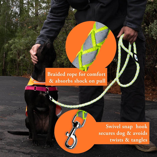 Purrfect Pet Kingdom Durable Dog Leash Reflective Safety Purrfect Pet Kingdom