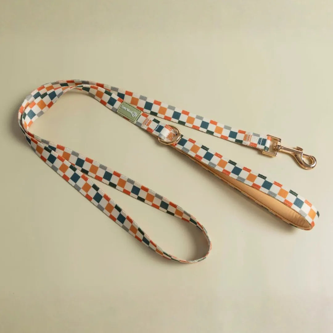 Sage Cider Leash by Purrfect Pet Kingdom, featuring a stylish sage color, perfect for walks with your pet. Size: 18.00.