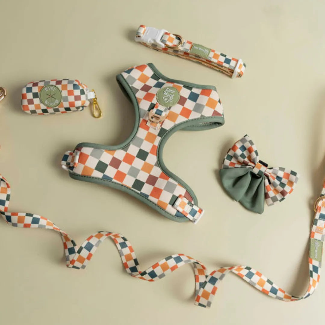 Sage Cider Leash by Purrfect Pet Kingdom, featuring a stylish sage color, perfect for walks with your pet. Size: 18.00.