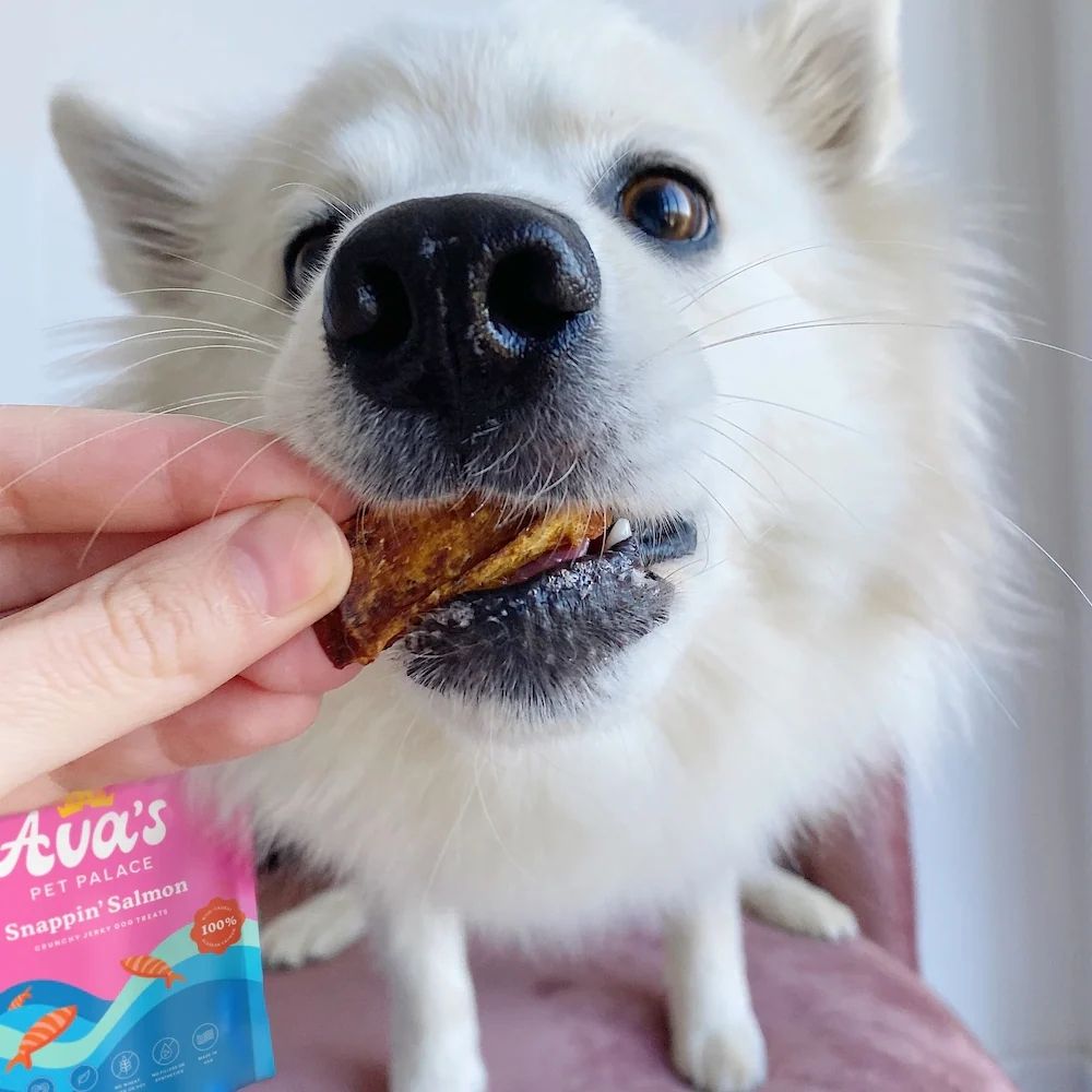 Ava's Pet Palace Crunchy Jerky Dog Treats - Snappin' Salmon